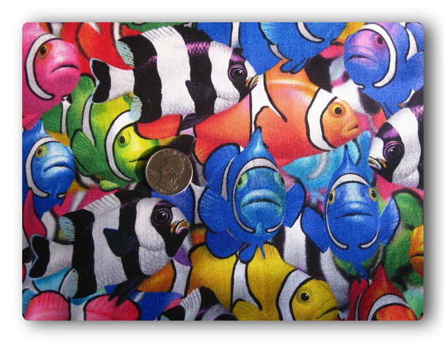 Cluster of Colorful Clownfish-