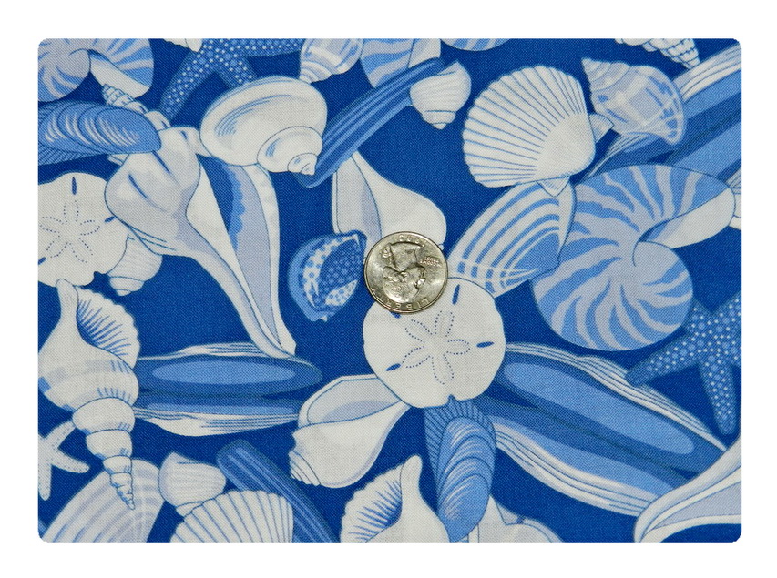 Blue Shells-