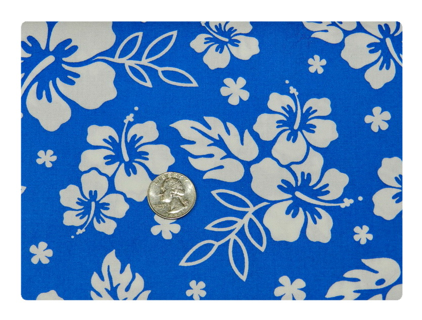 Beautiful Blue Hawaiian-