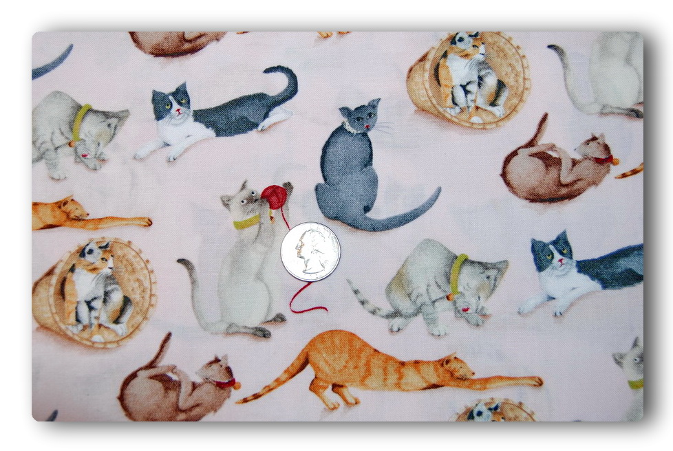 Sassy Cats-