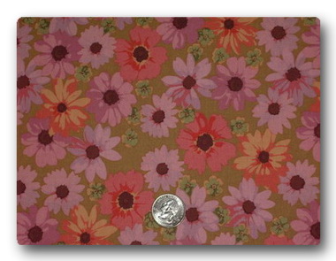 Daisy - Pink and Peach Daisies-