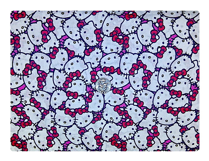 Packed Hello Kitty-