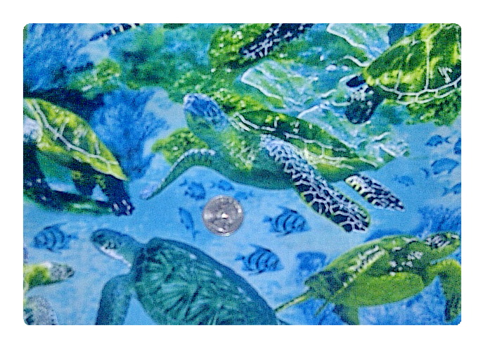 Surreal Sea Turtles-