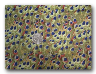 Peacock Feathers-