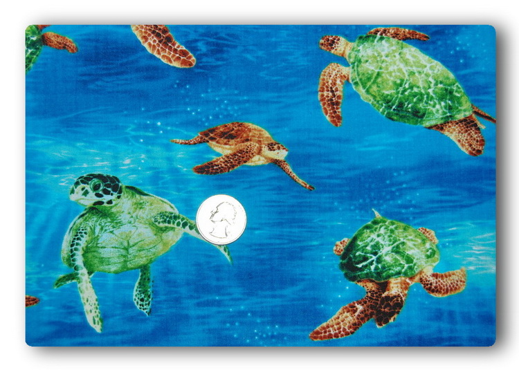 Surfin' Sea Turtles-