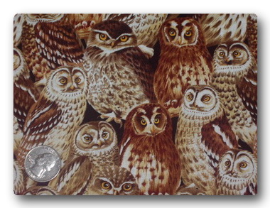 Owls - Give a HOOT-