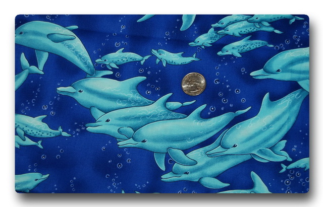 Dolphin Family-