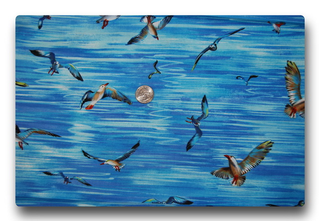 Shore Birds-
