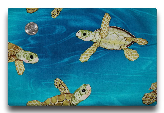 Baby Sea Turtles-