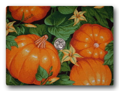 Pumpkin Patch-