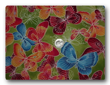 Butterfly - Big Rainbow Butterflies-