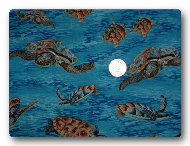 Sea Turtles Swimming-