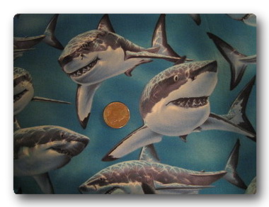 Sharks - Whole Lotta Teeth-