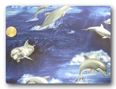 Dolphin - Diving Dolphins-