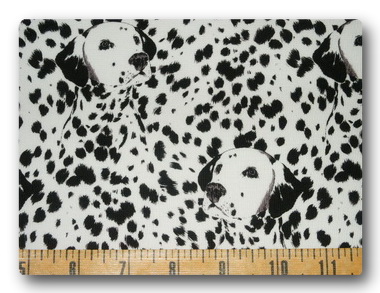 Dogs - Dalmatians-
