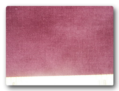 Corduroy Fine Eggplant-