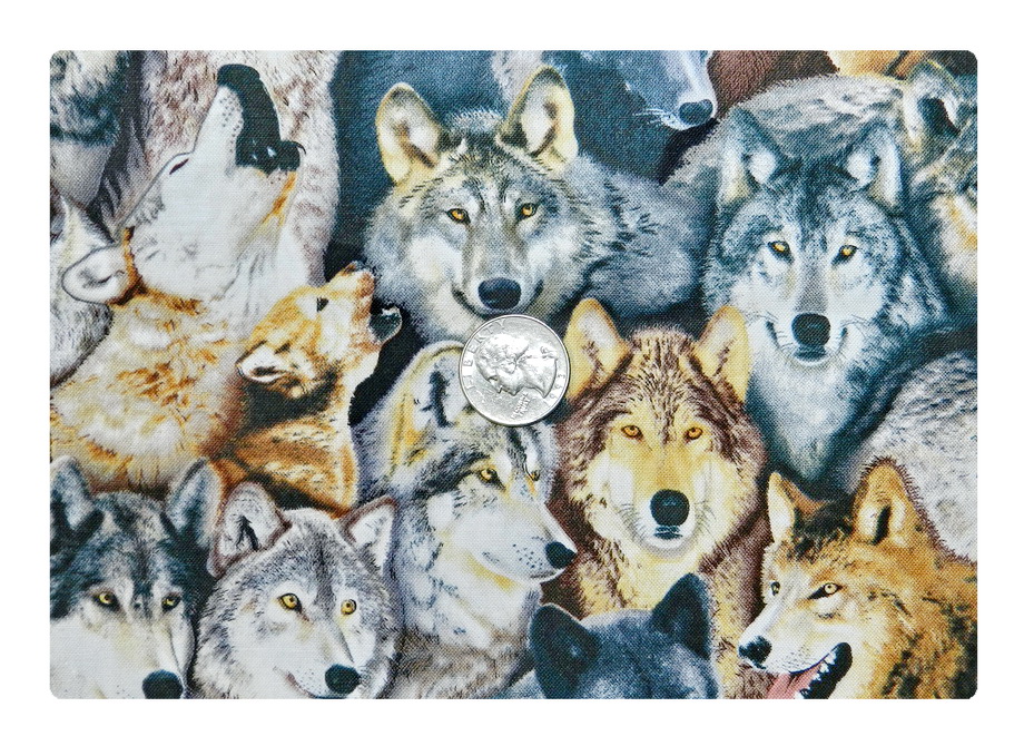 Howling at the Moon-