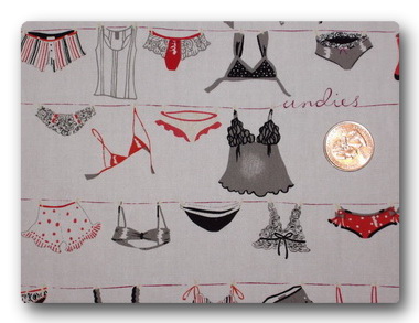 Lingerie on a Line-