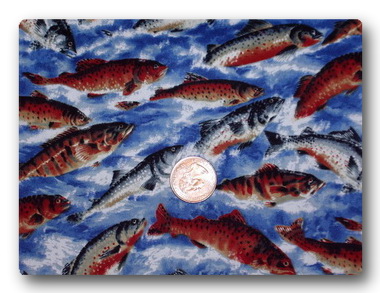 Salmon-