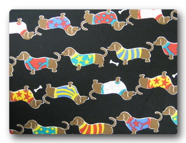 Dog - Dachshunds in Sweaters-