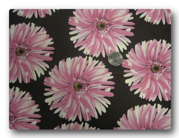 Daisy - Pink Gerberas on Brown-