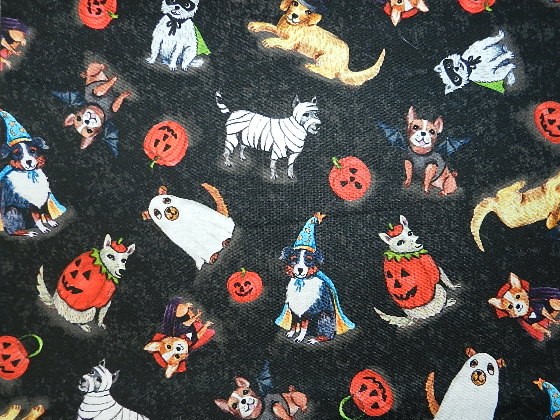 Spooky Halloween Pets-