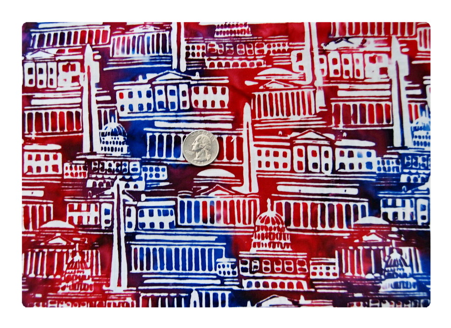 Washingon DC in Tie Dye-