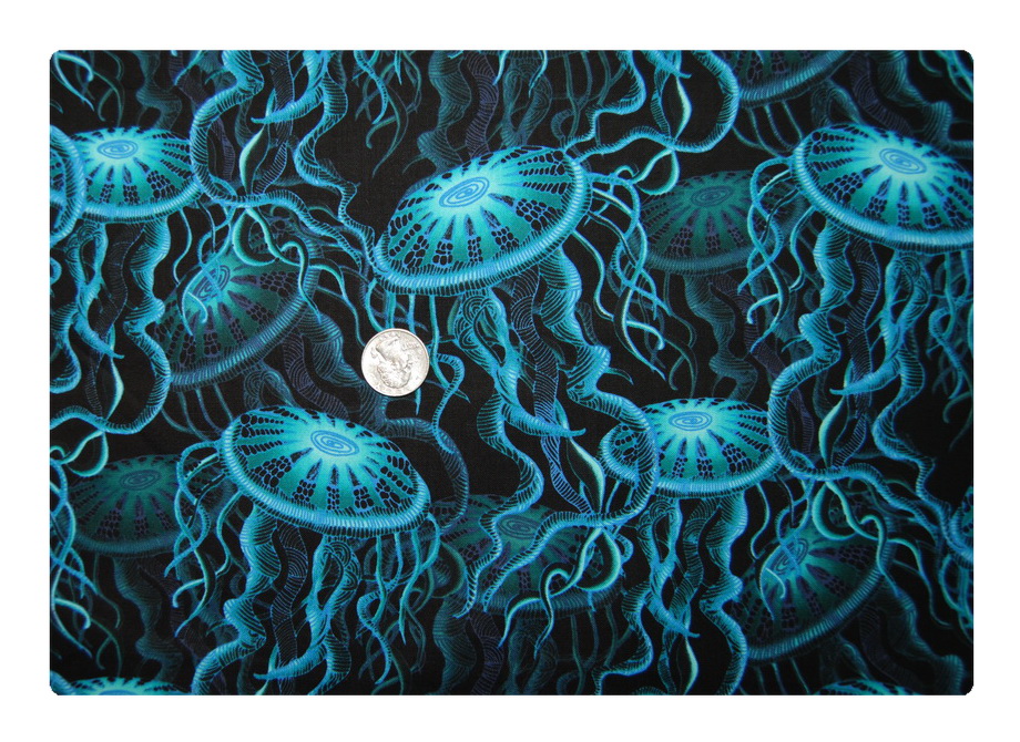 Jellyfish ... Look But Don't Touch-