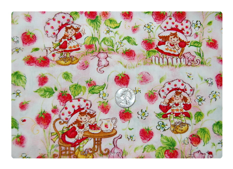 Strawberry Shortcake circa 70s and 80s-