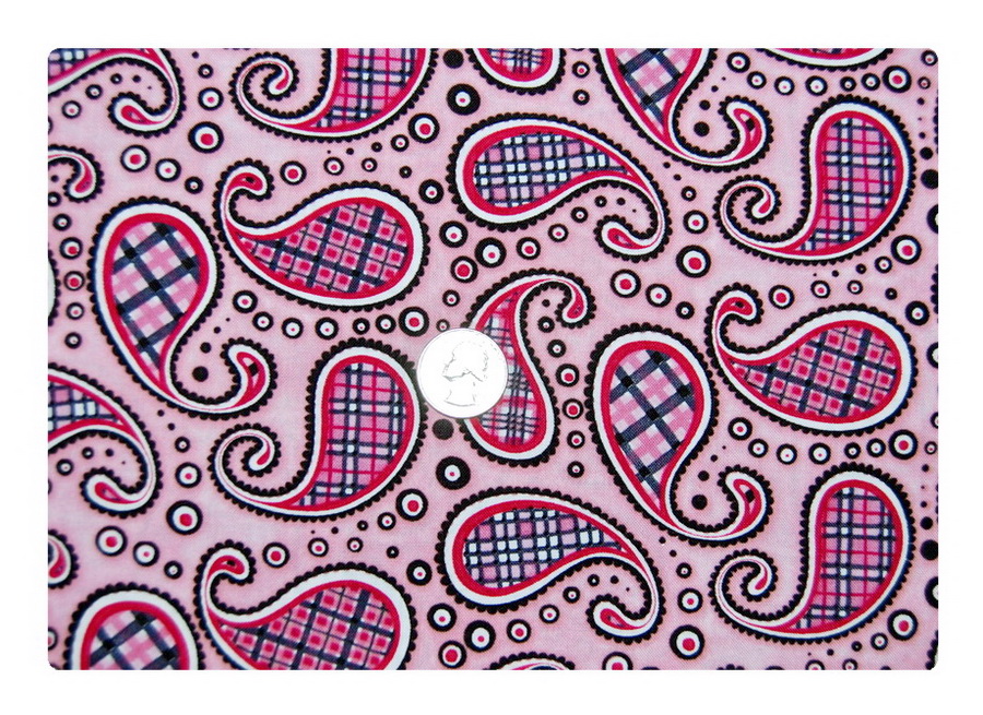 Pink and Black Paisley Plaid-