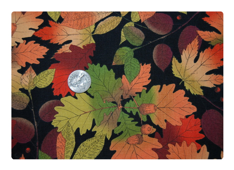Leaves and Acorns-