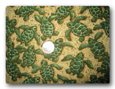 Sea Turtles Going Out to Sea-