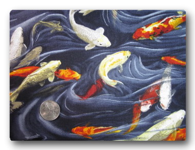 Koi Pond-