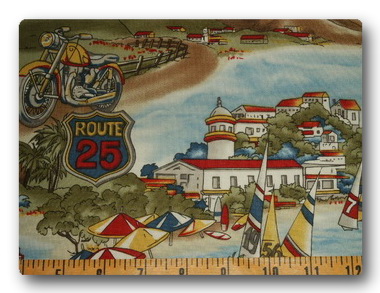 Tropical Routes 25 and 66-