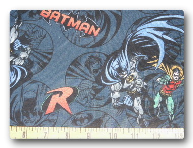 Batman and Robin-