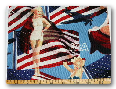 Flag - Pin-up Girls and American Flag-