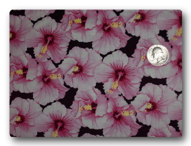 Hawaiian - Hibiscus-