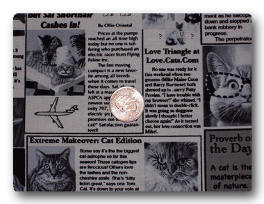 Cats - Newspaper Kitties-