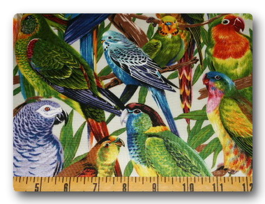 Parrots and Lovebirds-
