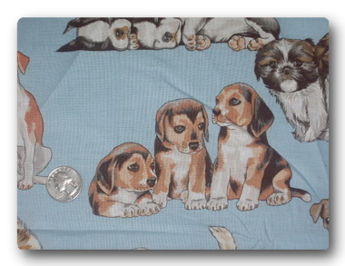 Dogs - Puppy Cuteness-
