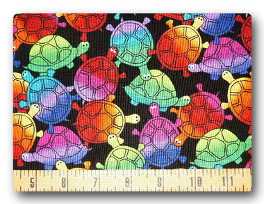 Rainbow Turtles-