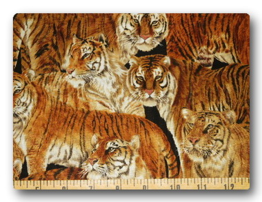 Safari - Regal Tigers-