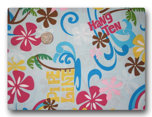 Hang Ten Dude-