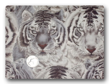 Safari - White Tiger-