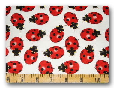 Ladybugs - Red Ladybugs1-