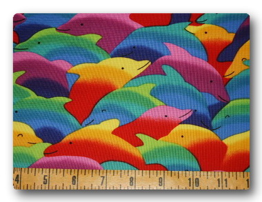 Dolphins - Rainbow Dolphins-