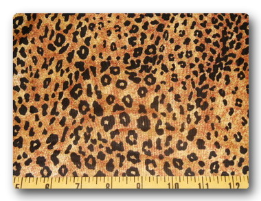 Safari - Leopard Print-